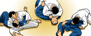 Stage judo techniques grades