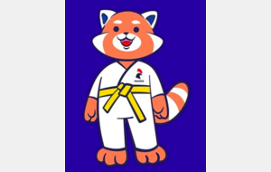 Journées Judo fin Août 2021 - école de judo 