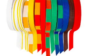 Passage de Grades - 15 Juin - Porzou Concarneau