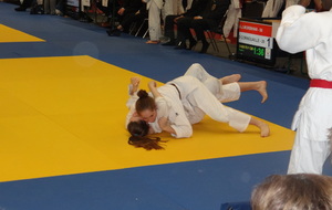 5a81d22b2ee23_DSC00765.JPG