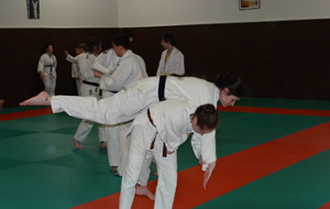 5aae6b5691850_DSC00998.JPG