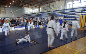 5b94293a85d62_DSC01797.JPG
