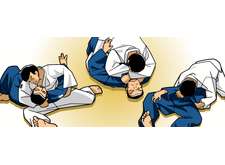 Stage judo techniques grades