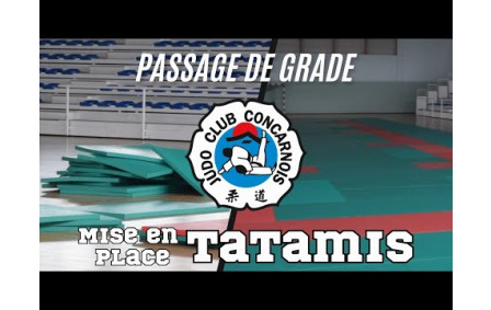 Mise en place des tatamis